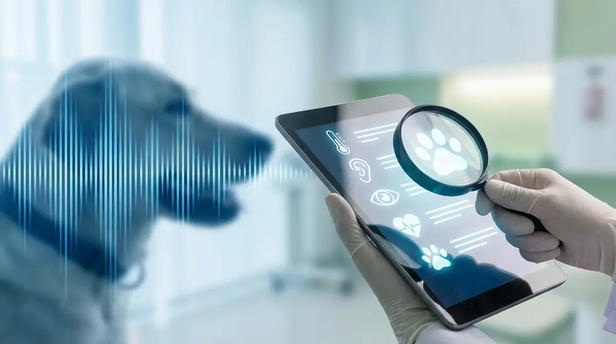 鳴き声と一緒にチェックすべき病気の症状