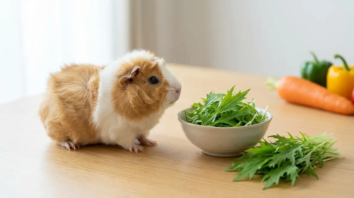 モルモットが水菜を食べないときの対処法