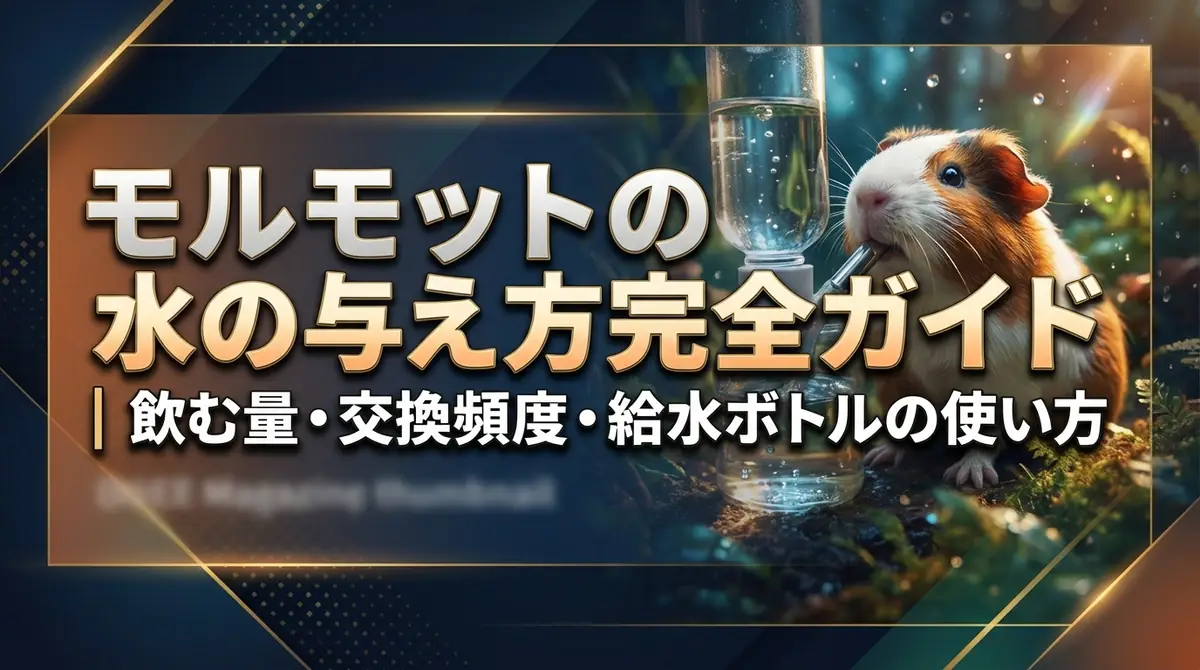 モルモットの水の与え方完全ガイド｜飲む量・交換頻度・給水ボトルの使い方