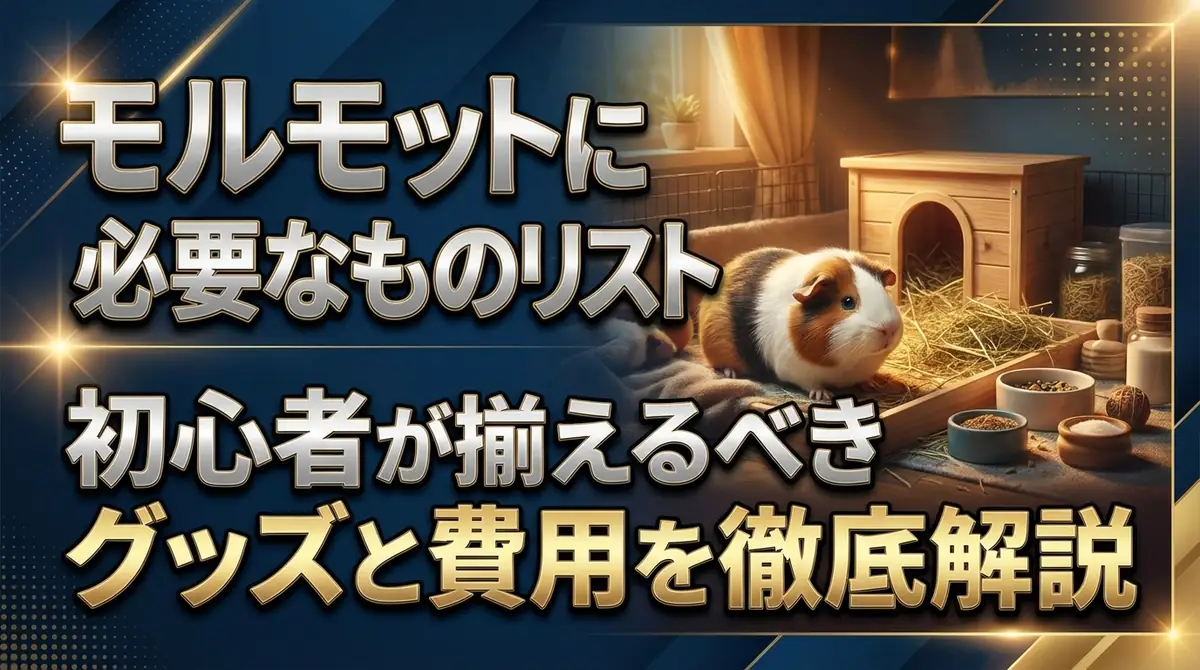 モルモットに必要なものリスト|初心者が揃えるべきグッズと費用を徹底解説