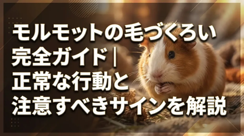モルモットの毛づくろい完全ガイド｜正常な行動と注意すべきサインを解説