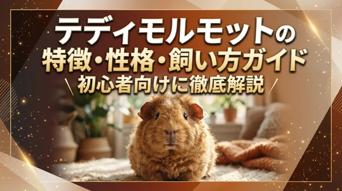 テディモルモットの特徴・性格・飼い方ガイド｜初心者向けに徹底解説