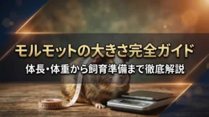モルモットの大きさ完全ガイド｜体長・体重から飼育準備まで徹底解説