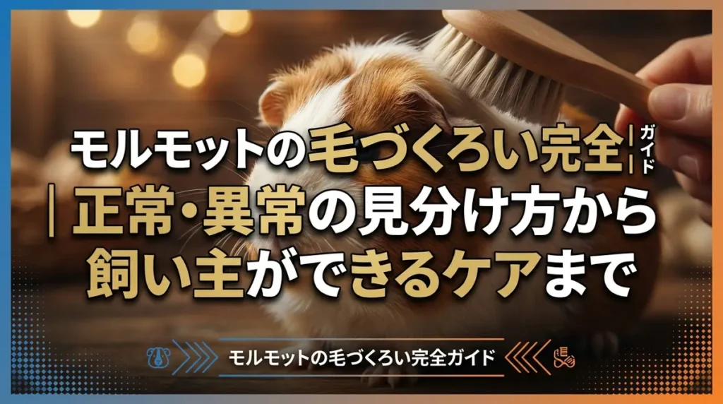 モルモットの毛づくろい完全ガイド｜正常・異常の見分け方から飼い主ができるケアまで
