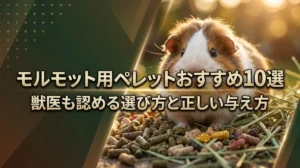 モルモット用ペレットおすすめ10選｜獣医も認める選び方と正しい与え方
