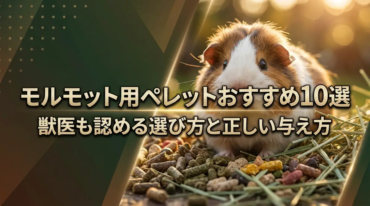 モルモット用ペレットおすすめ10選|獣医も認める選び方と正しい与え方