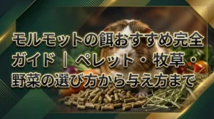 モルモットの餌おすすめ完全ガイド｜ペレット・牧草・野菜の選び方から与え方まで