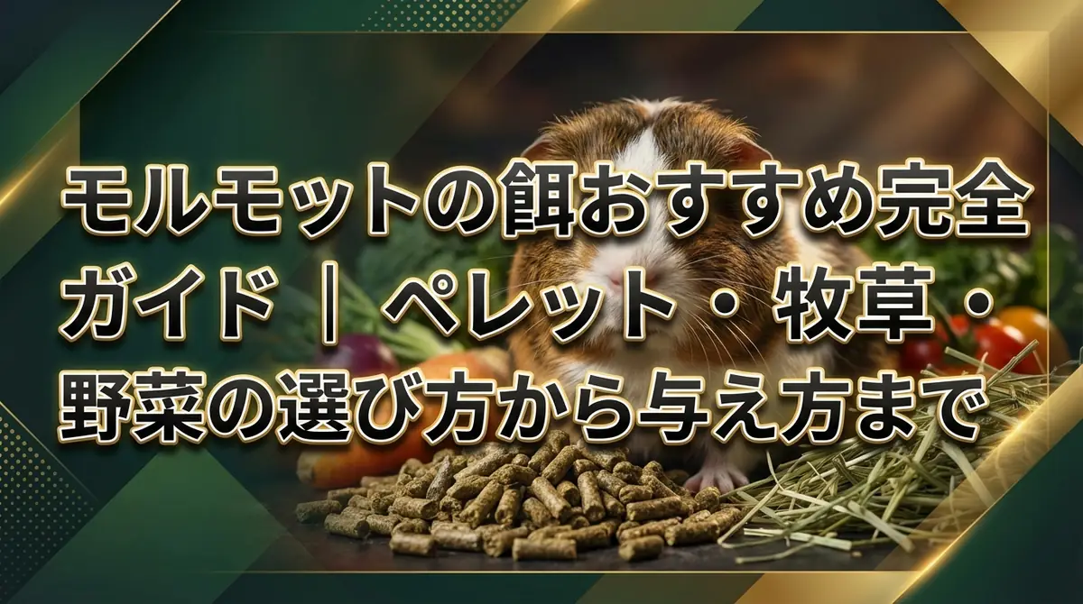 モルモットの餌おすすめ完全ガイド|ペレット・牧草・野菜の選び方から与え方まで