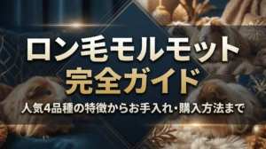 ロン毛モルモット完全ガイド｜人気4品種の特徴からお手入れ・購入方法まで