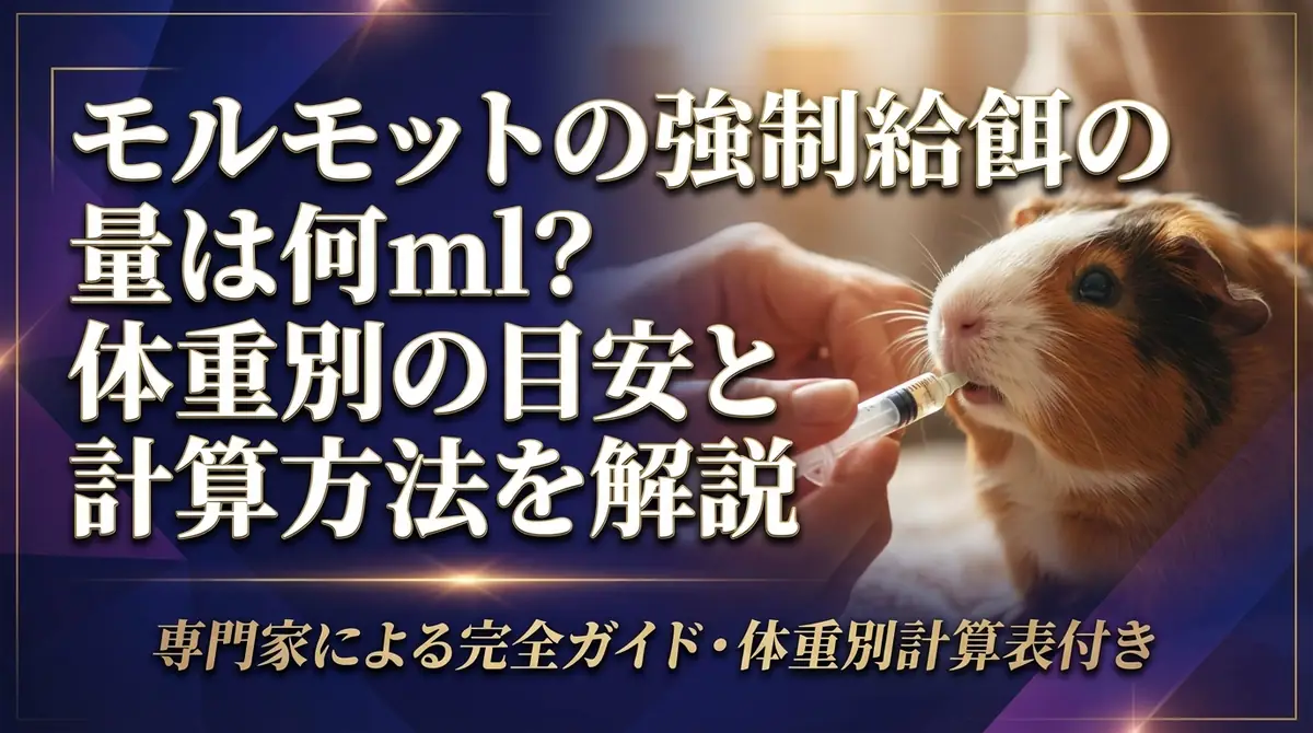 モルモットの強制給餌の量は何ml？体重別の目安と計算方法を解説