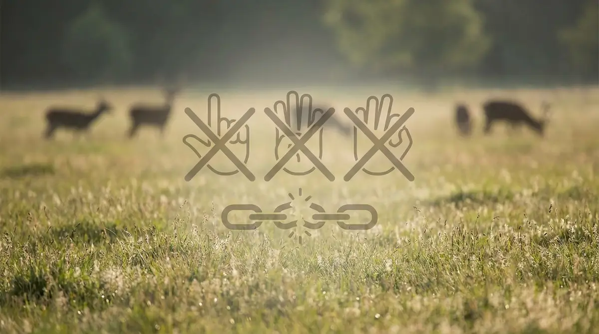 発情期にやってはいけない3つのNG行動